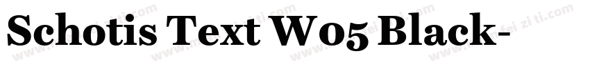 Schotis Text W05 Black字体转换